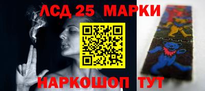 гидропоника Тула
