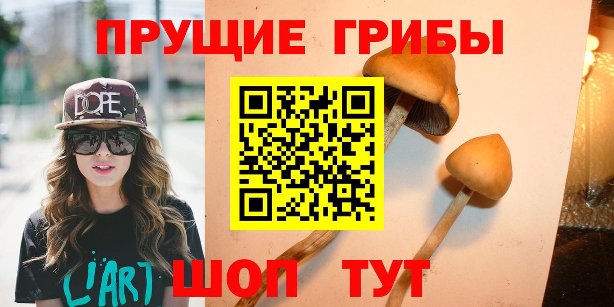 купить наркоту  Галлюциногенные грибы Magic Shrooms  Вход с VPN  Медногорск 